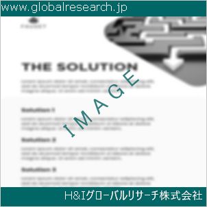 グローバルリサーチ調査資料のイメージ